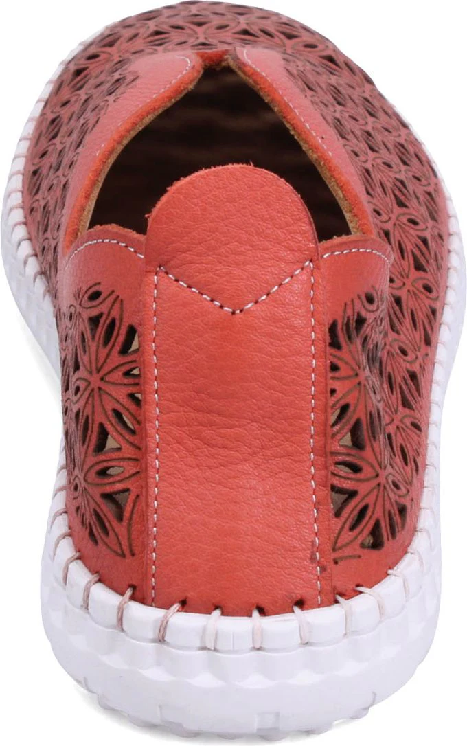 Daisy Coral - Image 5