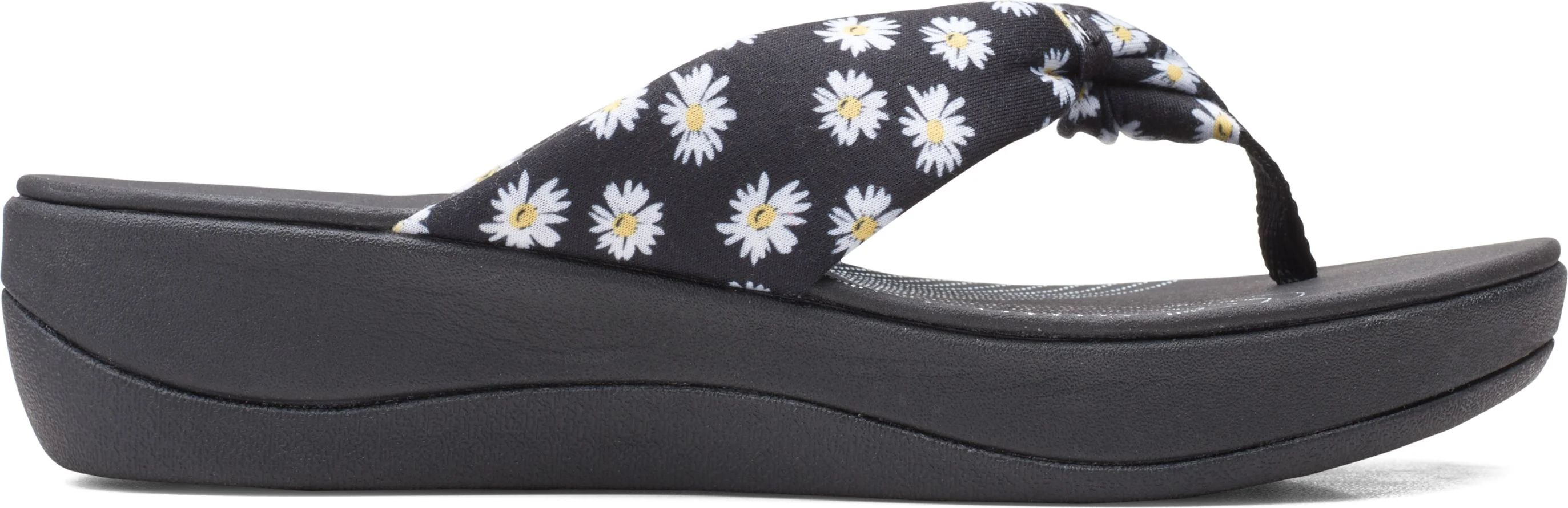 Arla Glison Black Daisies
