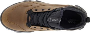 MX Camel - Image 6