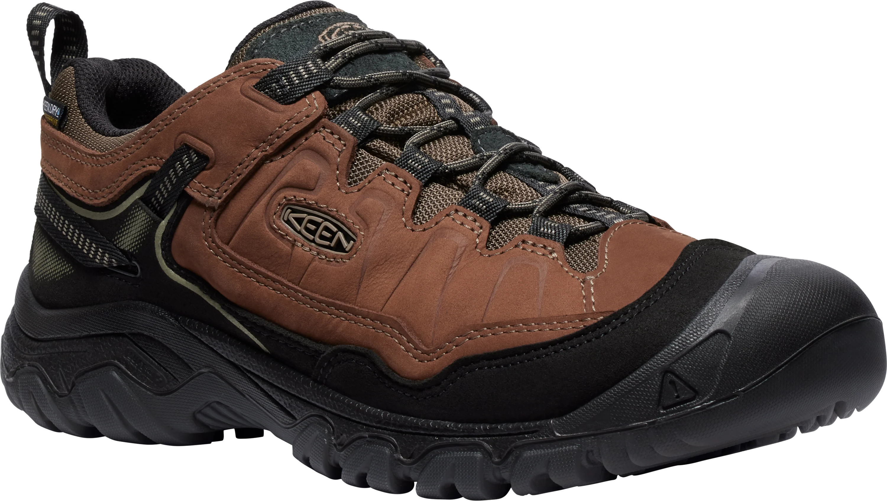 M Targhee IV WP Bison
