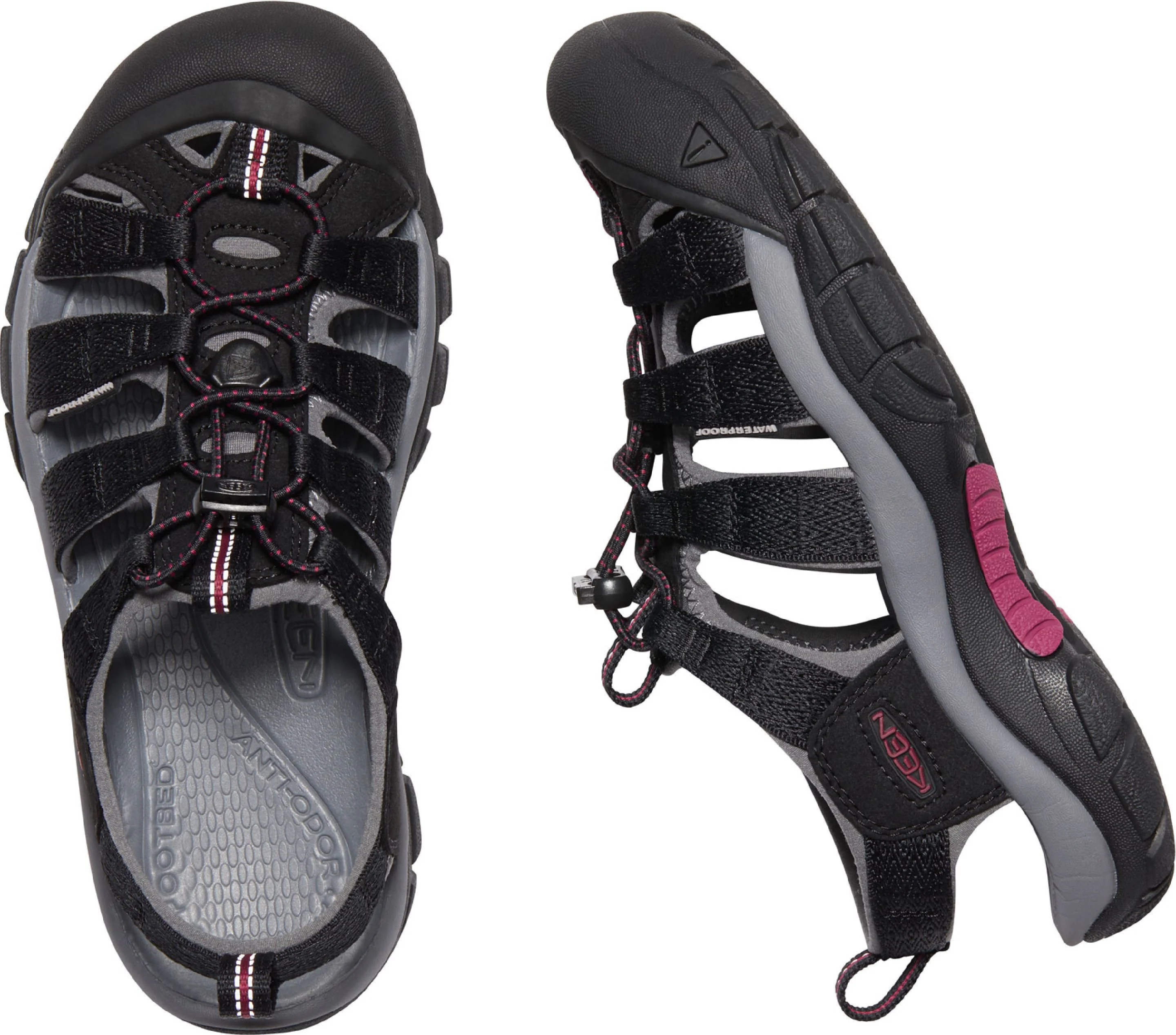 W Newport H2 Black - Image 4
