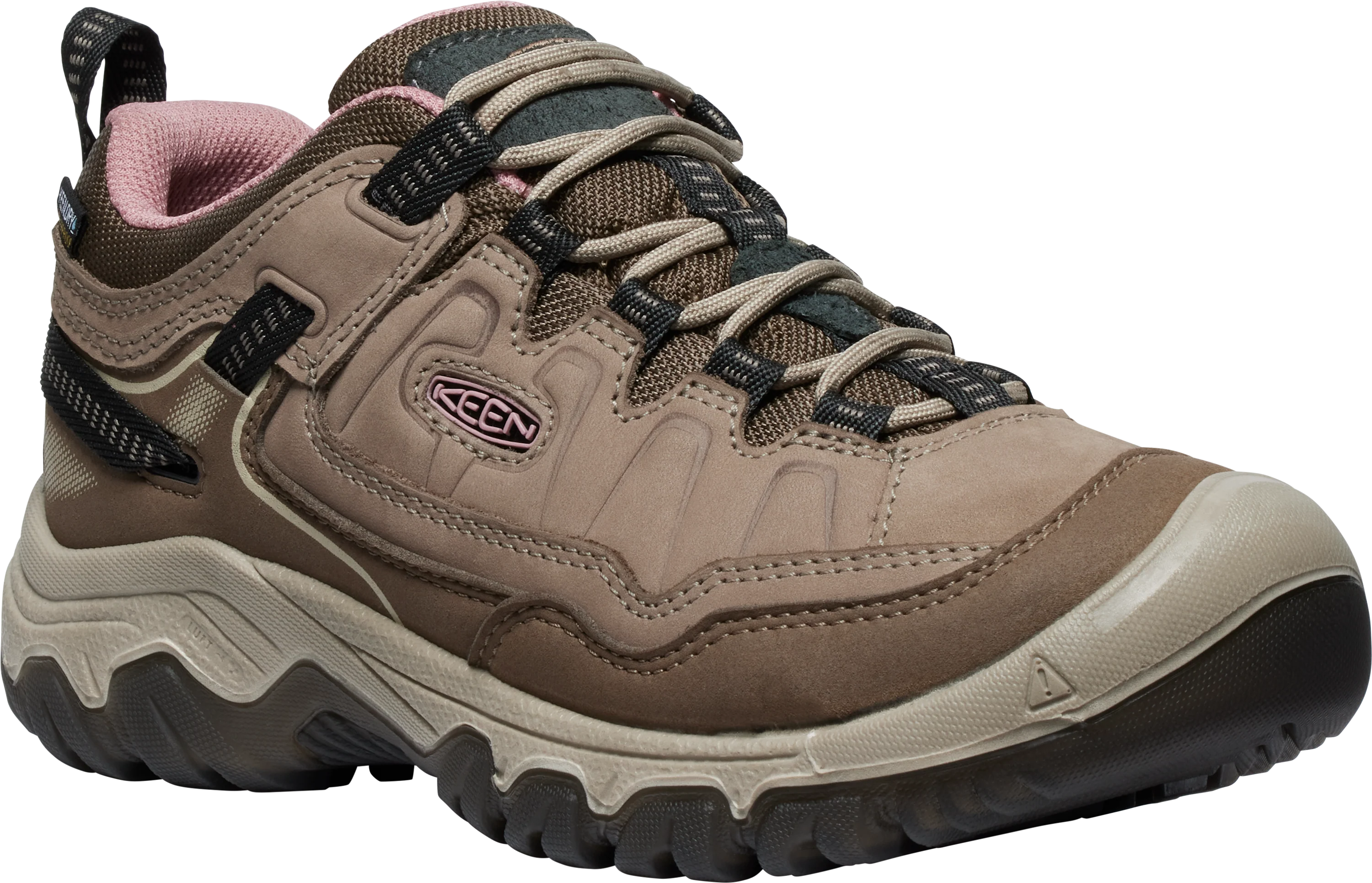 W Targhee IV WP Brindle
