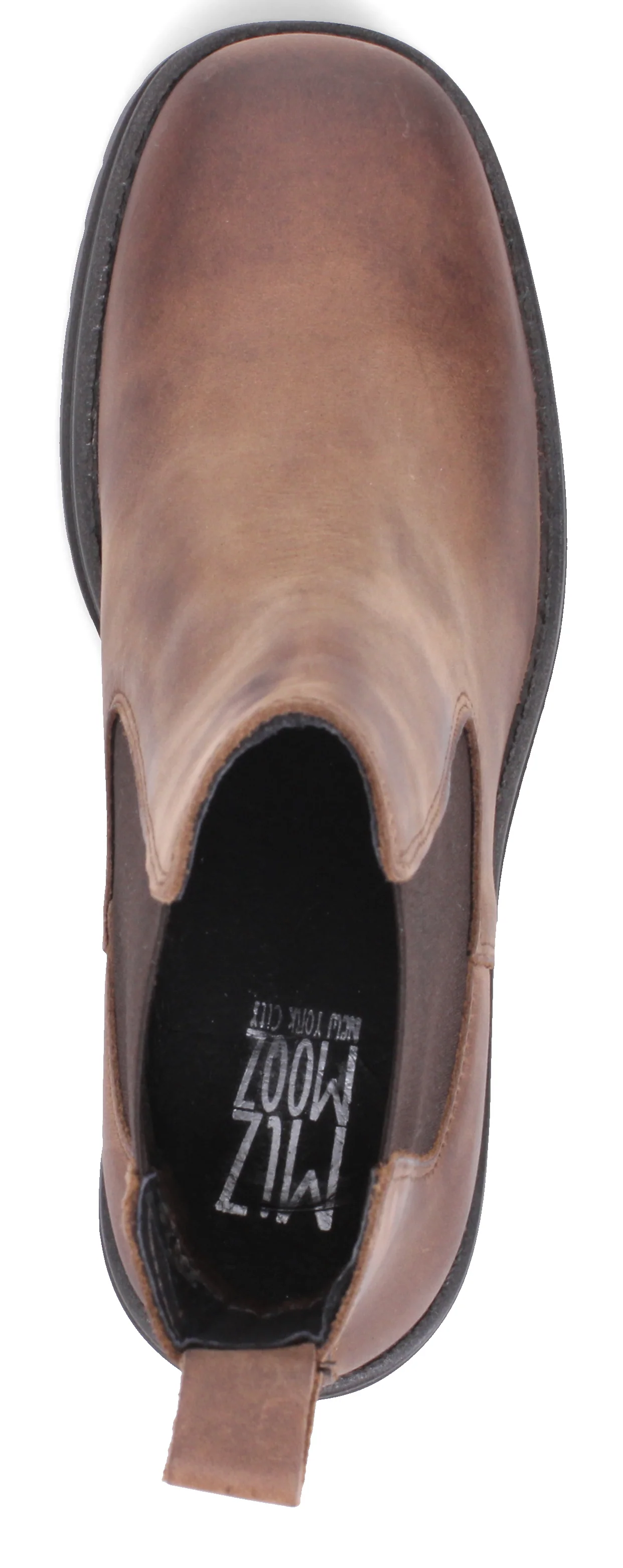 Ritzy Hazelnut - Image 6