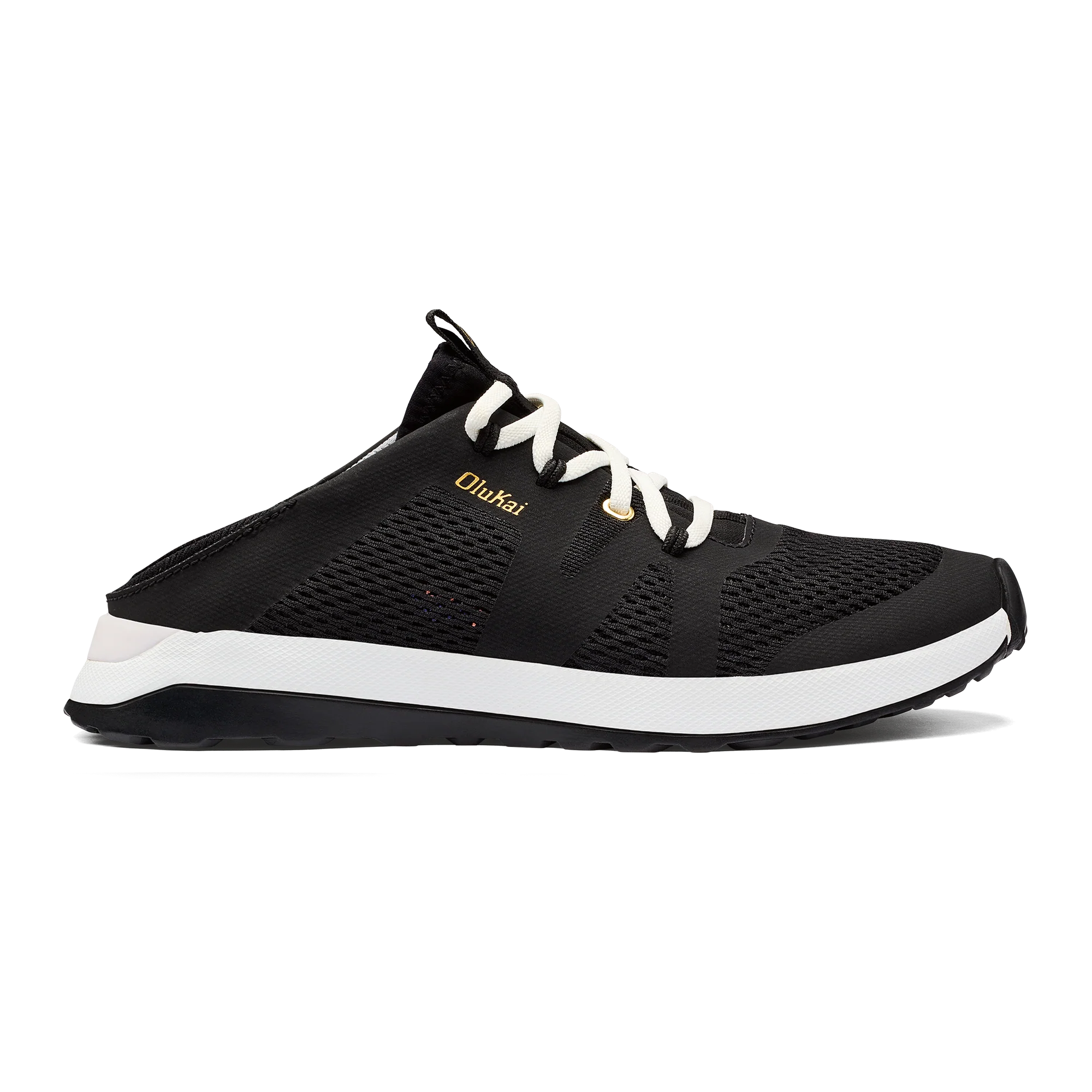 Huia Black - Image 3