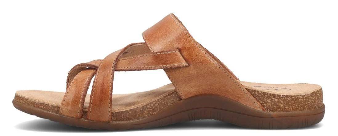 Perfect Tan - Image 3